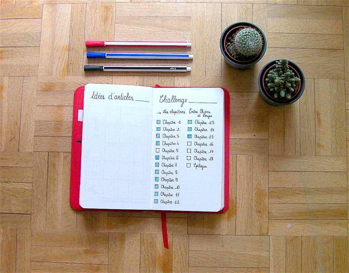 Bullet journal Août 2018 - Challenge d'écriture - Mécanismes d'histoires